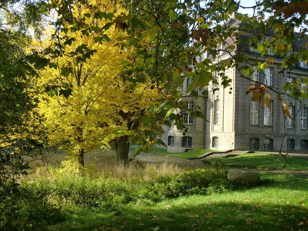 Jagdschloss-Bellin Bellin  Eksteriør billede